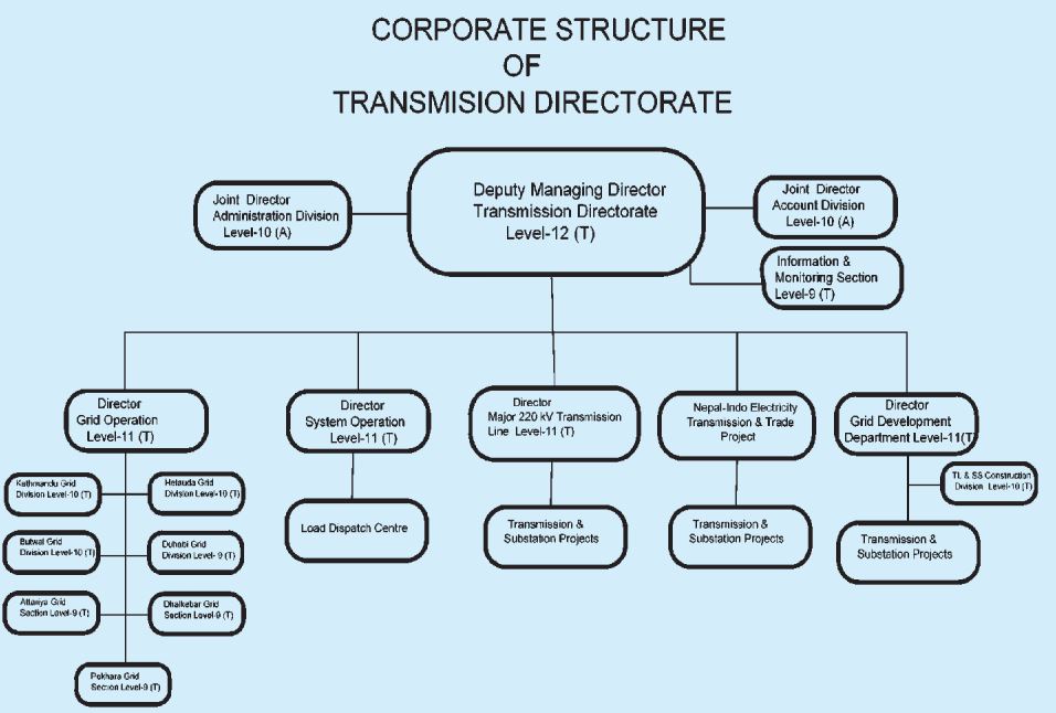 Nea Organisation Chart